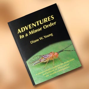 Peut inclure: Ensemble de trois mugs en céramique avec une finition mate et mouchetée. Les tasses sont de couleur crème, marron clair et marron foncé. Chaque mug a un design simple et minimaliste.