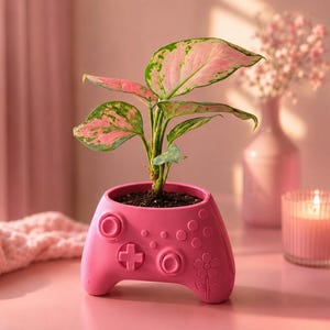 Peut inclure: Un pot de fleurs rose vif en forme de manette de jeu vidéo, avec des boutons et une croix directionnelle moulés. Une petite plante aux feuilles panachées de vert et de rose est plantée dans le récipient, posé sur une surface plane.