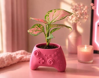 Maceta con forma de mando de videojuegos