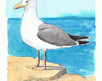 Watercolor Herring Gull Illustration