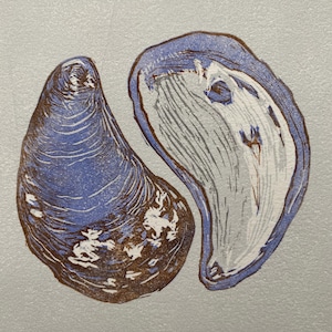 Mussel Shells