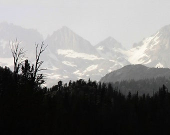 Hobbs Lake I, Wind River Mountains, Silhouetted Trees, Misty Peaks, Wilderness, Mountain Photography, Nature Photography, Panoramic Format