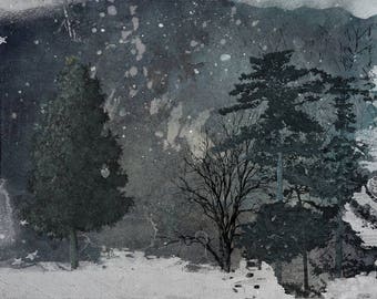 Winter Woodland I, Winter Night, Winter, Photo Art, Photo Artistry, Stillness, Grays, Blue-Green, Wall Art