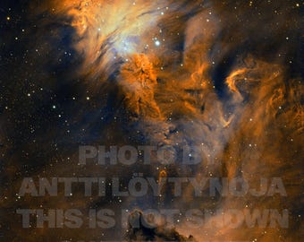 円錐星雲とクリスマスツリー星団を写した、他に類を見ない美術的な天体写真ポスター