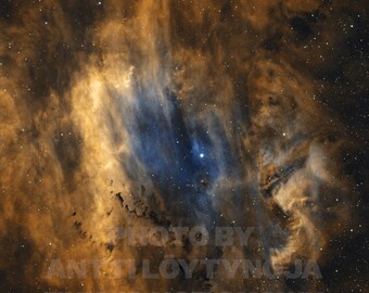 貝殻星雲を描いた、他に類を見ない美術的な天体写真ポスター