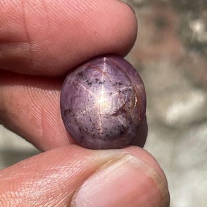 May include: A round, polished, star ruby gemstone. The gem is held between fingers and displays a six-rayed star pattern across its surface. The stone has a purplish-red hue with dark inclusions and a polished finish.
