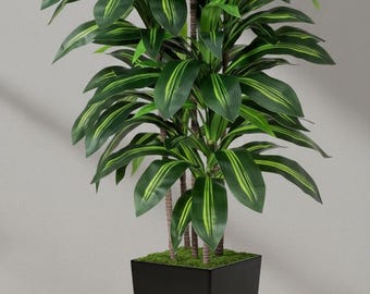 Faux Dracaena Tree – 5 ft/6 ft Artificial Potted Floor Plant, Modern Home Décor (Black/Grey/White Planter)