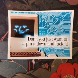 以下が含まれることがあります： 青い顔、キーボード、青い回路基板のデザインが表示されたレトロなコンピュータ画面のステッカー。ステッカーには「Don't you just want to pin it down and fuck it?」と書かれています。