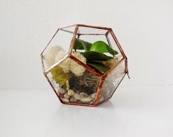 Geometric Glass Terrarium, Dodecahedron, Handmade Glass Terrarium, Stained Glass, Modern Terrarium for Indoor Gardening