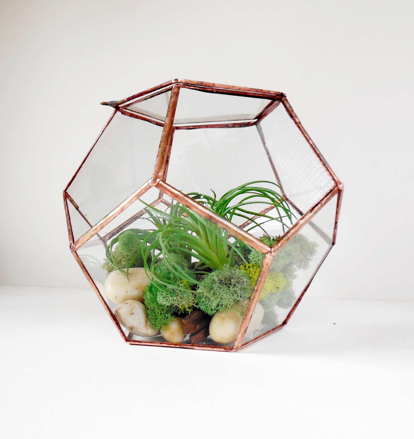 Dodecahedron Glass Terrarium Terrarium With a Hinged Door Etsy
