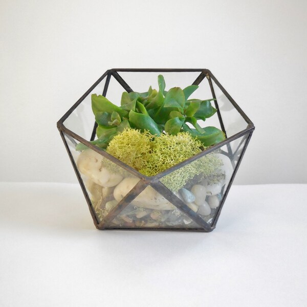 Glass Terrarium, clear glass planter geometric 3D shape, icosahedron.