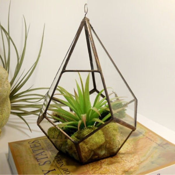 Terrarium, Hanging Terrarium, Large Glass Terrarium, Geometric Terrarium for Indoor Gardening, Geometric Teardrop Shape, Plant holder.