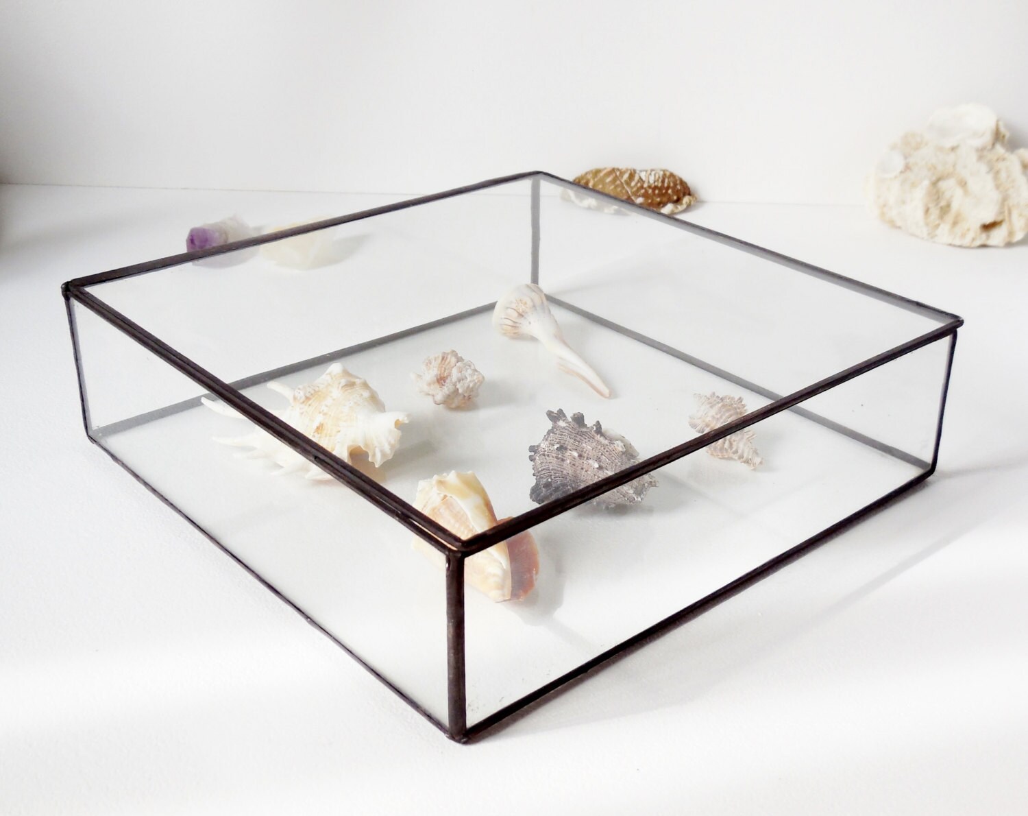 10 x 10 Glass Box Large Glass Display Box Glass Etsy