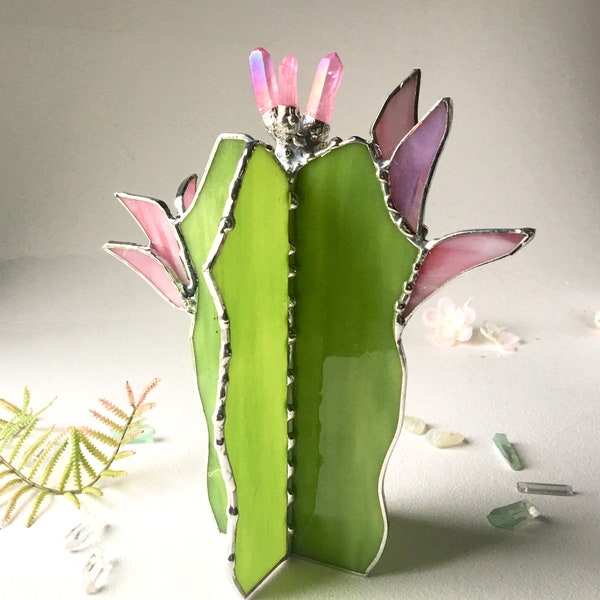 Stained Glass Cactus. Cactus With Quartz Crystals. Green Cactus. Plants, Succulent.