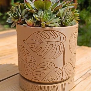 Pode incluir: Um vaso de plantas cor de terracota com um design detalhado de folhas, segurando uma planta suculenta. O vaso tem um pires a condizer. A suculenta tem folhas verdes e vermelhas, criando um contraste natural com os tons terrosos do vaso.