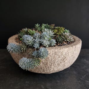 Puede incluir: Una maceta redonda de piedra texturizada llena de una variedad de suculentas, incluyendo rosetas de color azul verdoso y variedades espinosas con rayas oscuras. Las plantas están en tierra oscura y cuelgan sobre el borde de piedra beige.