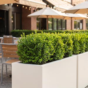 Large Modern Fiberglass Rectangle Trough Planter Box - Outdoor Patio Pot