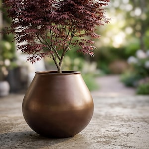 May include: A small Japanese maple tree with deep red, palmate leaves planted in a smooth, spherical, metallic bronze-colored planter. The pot has a wide, rounded body that tapers slightly toward the top rim, showcasing a solid, reflective finish.