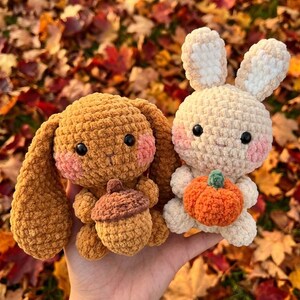 Può includere: Due peluche a forma di coniglietto all'uncinetto. Uno è marrone con una ghianda, l'altro è color crema e tiene in mano una zucca arancione. Entrambi hanno guance rosa e occhi neri. Lo sfondo è un fogliame autunnale.