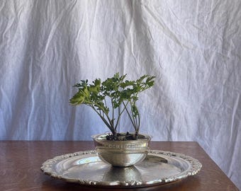 Vintage Silverplate Serving Tray with Integrated Center Bowl Oneida