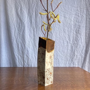 May include: A tall, rectangular ceramic vase with a speckled off-white base and a dark brown glazed top rim. The vase holds a single slender branch with small, pale yellow, curved flowers extending upward from the opening at the top.