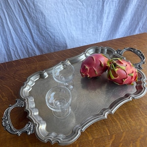 May include: A rectangular silver-toned metal serving tray with ornate handles, featuring an engraved floral pattern on its surface. Two clear glass stemmed cups and two pink and green dragon fruits are arranged on the tray.