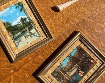 Vintage Florida Postcard Wall Art Set of 2 | Framed Florida Springs Postcards
