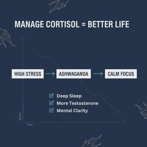 以下が含まれることがあります： コルチゾール管理の効果を示すグラフィック。テキストは「MANAGE CORTISOL = BETTER LIFE」と表示されています。この図は、ストレスの減少が穏やかな集中力につながることを示しており、深い睡眠や精神的な明晰さなどの利点があります。