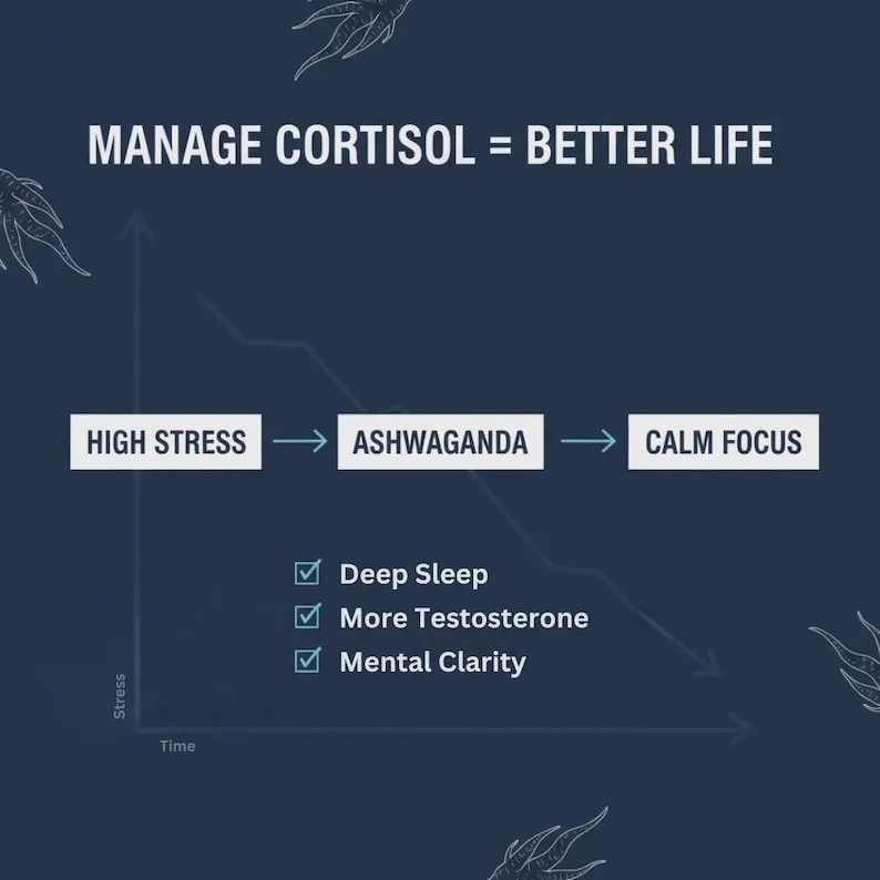 以下が含まれることがあります： コルチゾール管理の効果を示すグラフィック。テキストは「MANAGE CORTISOL = BETTER LIFE」と表示されています。この図は、ストレスの減少が穏やかな集中力につながることを示しており、深い睡眠や精神的な明晰さなどの利点があります。