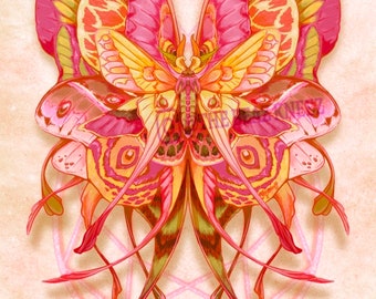 Flavum tinea Rosy Maple Moth Luna Yellow Pink Insect Surreal Fairy Dream Fractal Art Print