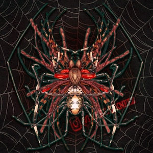 Nothing But Legs Spider Spiders Web Creepy Crawly Spooky Halloween