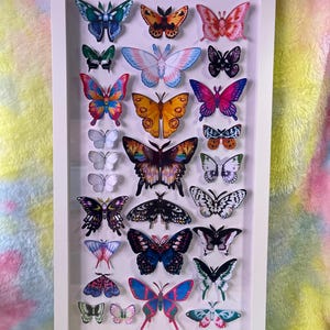 May include: A framed collection of colorful butterfly cutouts. The butterflies are arranged in rows and columns within a white frame. The butterflies feature various colors, including blue, orange, pink, and black, with intricate wing patterns. The background is a soft, multi-colored fabric.