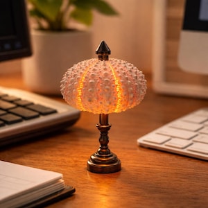 May include: A decorative table lamp with a sea urchin-shaped shade. The shade is a light pink colour with a textured surface and is illuminated from within. The lamp has a bronze-coloured base and a black finial.