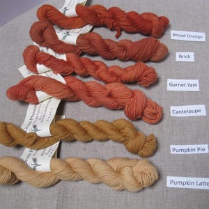 Puede incluir: Una colecci&oacute;n de seis madejas de hilo en varios tonos de naranja y beige. Los colores est&aacute;n etiquetados como "Blood Orange", "Brick", "Garnet Yam", "Cantaloupe", "Pumpkin Pie" y "Pumpkin Latte". Cada madeja est&aacute; torcida y tiene una etiqueta.
