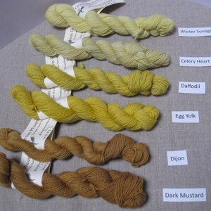 Puede incluir: Cinco madejas de hilo te&ntilde;ido a mano en tonos amarillos y marrones. Los colores est&aacute;n etiquetados como "Winter Sunlight", "Celery Heart", "Daffodil", "Egg Yolk", "Dijon" y "Dark Mustard". El hilo se muestra sobre una superficie de color neutro.