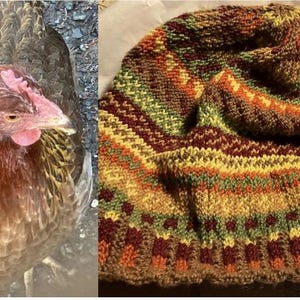 Puede incluir: Primer plano de una gallina marr&oacute;n y dorada con cresta y barbilla rojas. Junto a la gallina, un gorro de punto con un patr&oacute;n colorido en tonos marrones, verdes, naranjas y amarillos. El gorro es un accesorio de invierno.
