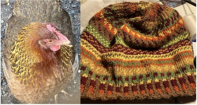 Puede incluir: Primer plano de una gallina marr&oacute;n y dorada con cresta y barbilla rojas. Junto a la gallina, un gorro de punto con un patr&oacute;n colorido en tonos marrones, verdes, naranjas y amarillos. El gorro es un accesorio de invierno.