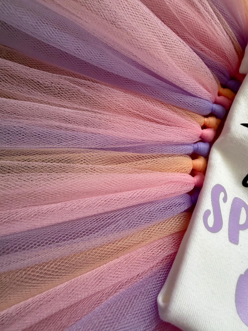 May include: A multi-layered tulle skirt featuring alternating strips of pastel pink, lavender, and peach fabric. Attached to the side is a white fabric panel with the partial black text SP and a purple graphic element visible on the edge.