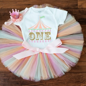 Circus first birthday outfit 'Rowan' vintage circus first birthday outfit girl, pastel under the big top cake smash girl, carnival tutu