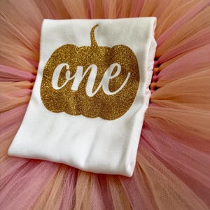 May include: A white t-shirt featuring a gold glitter pumpkin graphic with the word one written in white script across the center, placed on top of a layered tulle skirt in shades of light pink, peach, and soft orange.