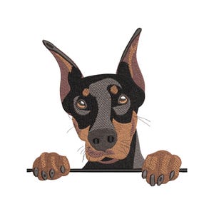 Könnte beinhalten: Ein gesticktes Design eines Dobermanns mit schwarzem und lohfarbenem Fell, spitzen Ohren und braunen Augen. Der Hund schaut über eine horizontale Linie, wobei seine Vorderpfoten auf dem Rand ruhen, was detaillierte Stickereien zeigt.