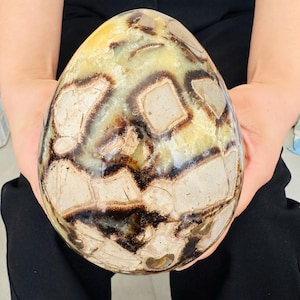 May include: A large, egg-shaped stone with a polished surface. The stone features a pattern of tan, brown, and cream-colored sections. The egg is held in both hands, showcasing its size and intricate design. The stone appears to be a decorative item.