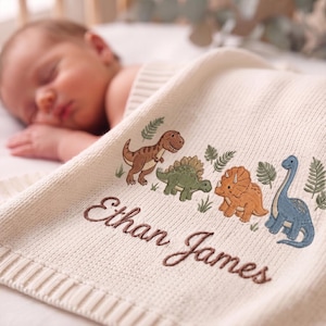 Könnte beinhalten: Eine cremefarbene Strickdecke für Babys mit gestickten braunen, grünen, orangen und blauen Dinosauriern sowie grünen Farnblättern. Der Name Ethan James ist in brauner Schreibschrift auf dem unteren Teil des Stoffes eingestickt.