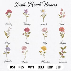 Puede incluir: Un diseño bordado con doce flores de nacimiento, cada una con el nombre del mes correspondiente. Las flores son de varios colores, incluyendo rojo, morado, blanco, rosa y amarillo. El texto "Birth Month Flowers" está en la parte superior.