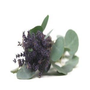 FREE S&H IN USA ESPRESSO LATTE FRAGRANCE OIL 4 OZ FOR CANDLE & SOAP MAKING BY VIRGINIA CANDLE SUPPLY