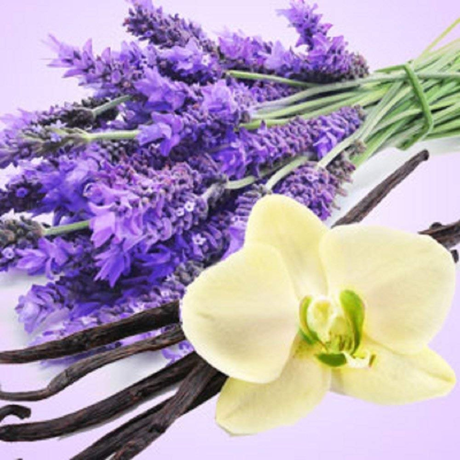 Lavender Vanilla Fragrance Oil 16 OZ/1 LB for Candle and Etsy