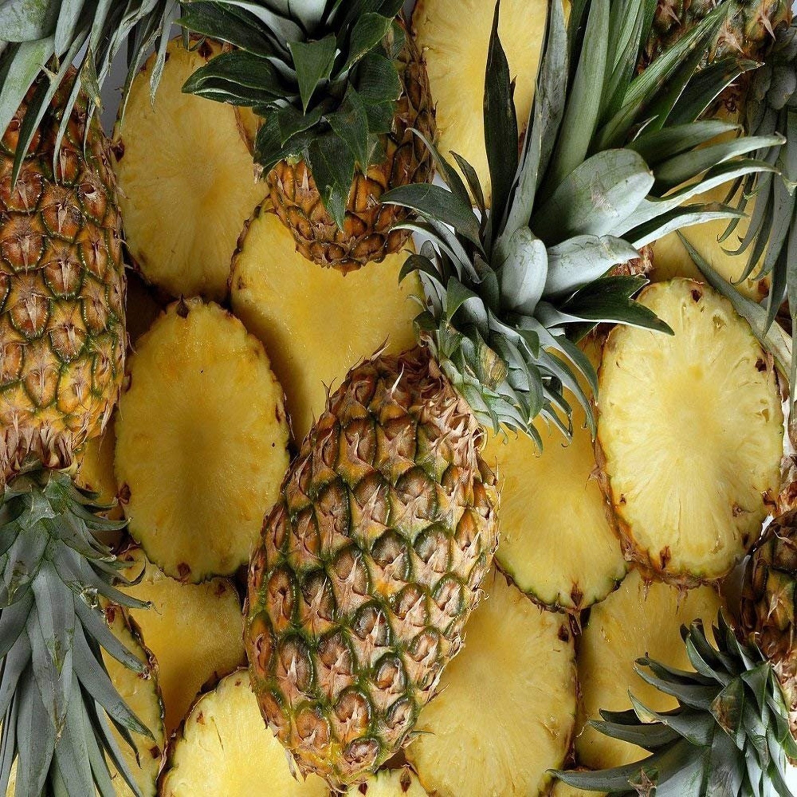 Pineapple Paradise Fragrance Oil 16 OZ/1 LB For Candle and Etsy