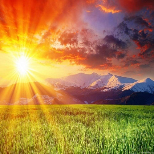 Sunshine main image 1