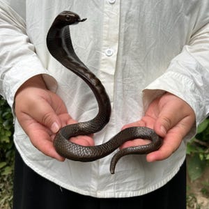 Könnte beinhalten: Eine dunkelbraune, geringelte Kobra-Figur mit erhobener Haube und texturierten Schuppen. Die Schlange ist in einer aufrechten, wachsamen Haltung dargestellt, mit einem glatten Kopf und einem langen, gewundenen Körper, der eine kreisförmige Basis bildet.