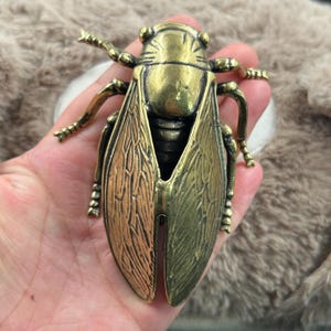 May include: A detailed brass cicada sculpture with intricate wing and body details. The insect is a golden-bronze color, with a textured surface. The wings are spread, and the legs are visible. The sculpture is held in a hand.